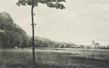 Łąka w dolnym Sopocie którą prowadziła droga do Dolinnego Młyna oraz w tle Pałacyk Panny Teltmer, zdjęcie z ok. 1905 r. źródło: CBN
